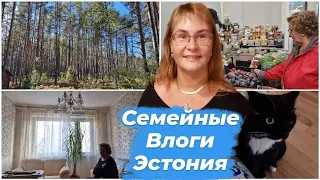 Влог каждый день.Закрыли дачный сезон.Уехали в Таллинн.Мама закупает продукты.Мы дома!Едем в магазин