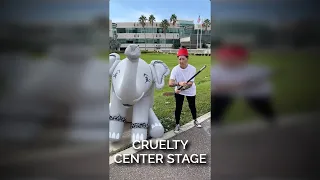 Cruelty Center Stage #shortsfeed
