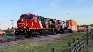 Train after Train on the CN Fulton/CSX Memphis Sub from April 22nd to May 2nd, 2024