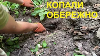 Їх там ще багато! Свисток офіцера. Пошук по ПСВ.