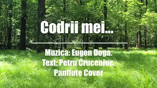 Codrii mei.. (Nai, Silviu Stefureac)|  Muzica: Eugen Doga | Text: Petru Cruceniuc | Cover Akord