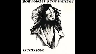 Bob Marley - Is This Love (Instrumental Original)