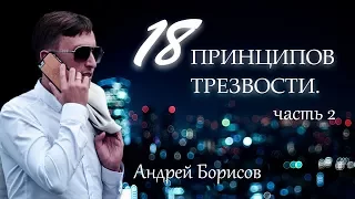 Лечение наркомании и алкоголизма.18 принципов. 2 часть.  Андрей Борисов.