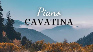 Cavatina(The Deer Huter)Piano~カヴァティーナ