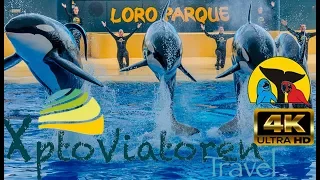 Loro Park | Tenerife | Xptoviatoren | August 2019 | 4K Ultra HD