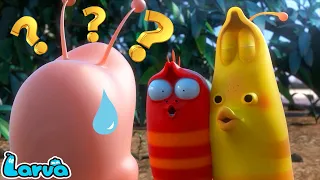 LARVA SEASON 3 FULL EPISODE 2023: WHAT ARE YOU DOING? | COMEDY CARTOON | FUNNY VIDEOS