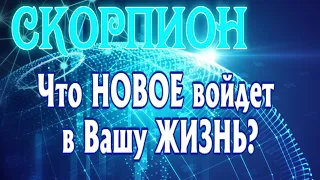 СКОРПИОН Что НОВОЕ войдет в Вашу ЖИЗНЬ таро расклад Angel Tarot Forecasts