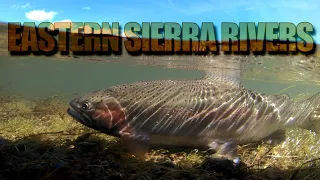 Random Rivers In Eastern Sierra California - Free Form Fly Fisher