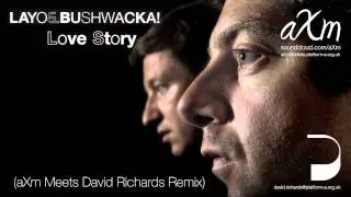 Layo & Bushwacka! - Love Story (aXm Meets David Richards Remix)