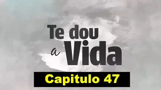 Resumo de Te dou a vida, cap 47, 23/11/2021, Terça