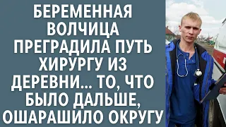 Беременная волчица преградила путь хирургу из деревни….От того, что было дальше, всполошилась округа