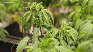 US House passes bill decriminalizing marijuana at federal level