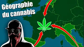 Le TRAFIC de CANNABIS : une géographie stupéfiante