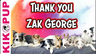 Thank you Zak George and a call to action