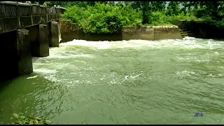 Golasuli Canal 2018 scenery