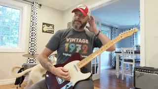 fake it till you make it or fake it till you break it country...ish licks. and a dog.