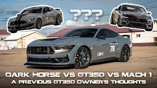 Does The Dark Horse Stand Up To The GT350 or Mach 1?! | Autocross & Breakdown