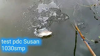 Test PDC Susan 1030 SMP upgrade untuk nyetrum ikan nila