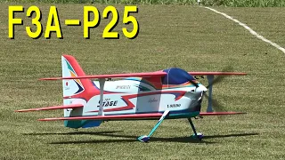 F3A-P25 TOP STAGE【ラジコン飛行機】670