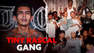 This Asian Gang Became The Most Brutal In America