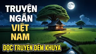 Đọc Truyện Đêm Khuya Hay Nhất - Truyện Ngắn Việt Nam Nghe Mà Thấm