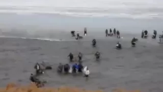 Как отрывает льдину с рыбаками от берега