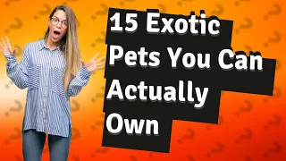 What Are 15 Exotic Pets People Can Actually Own?