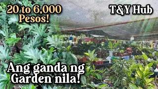 PLANT HUNTING NG MURANG HALAMAN SA SILANG CAVITE | MGA BEST SELLING PLANTS NGAYON!