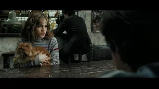 Harry Potter and the Prisoner of Azkaban - Reencounter of harry, Ron and Hermione scene