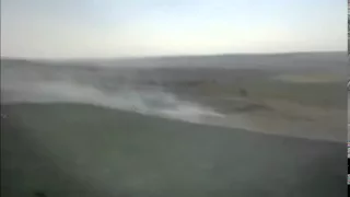Згоріло поле на Буковині