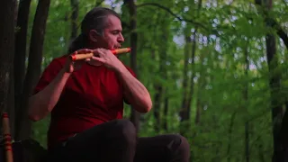 Music in the forest (2024.04.11.) Bansuri 2.