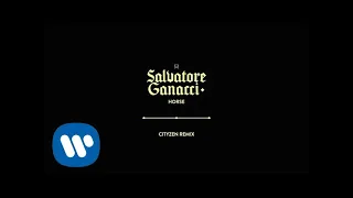 Salvatore Ganacci  - Horse (Cityzen Remix) [Official Audio]