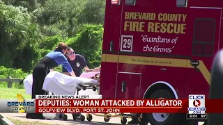 Woman attacked by an alligator