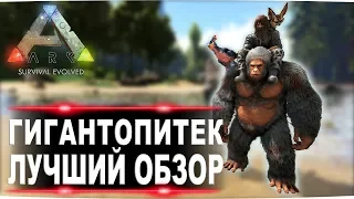 Гигантопитек (Gigantopithecus) в АРК. Лучший обзор приручение, разведение и способности  в ark.