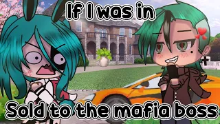 🌸 If I was in "sold to the mafia boss"🌸 (Gacha Life)