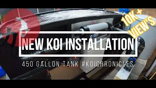 Koi Pond Installation ***450 Gallon Tank Set-Up*** Evolution Aqua Filter Eazypod walkthrough install