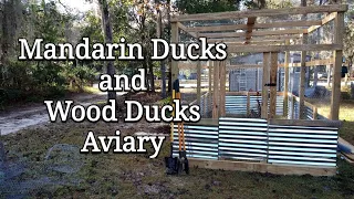 Mandarin Ducks and Wood Ducks Aviary Enclosure