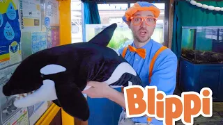 Blippi Learns About Sea Creatures - Ocean Friends | Life at Sea | Kids Learning | Toddler Show
