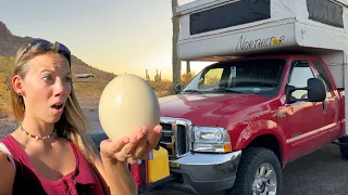 East Bound and Cooking an OSTRICH EGG in a CAMPER?? | Fulltime Truck Camper Living