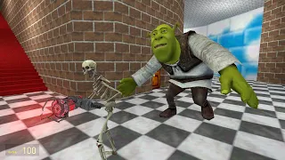 SHREK IS CHASING ME IN MARIO CASTLE (THIRD PERSON VIEW)