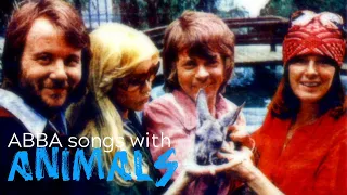 ABBA songs that mention animals