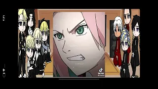 tokyo revengers react to fem y/n as sakura