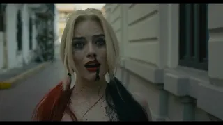 Harley Quinn se reencuentra con su equipo | El Escuadron Suicida (2021) | Latino (1080)