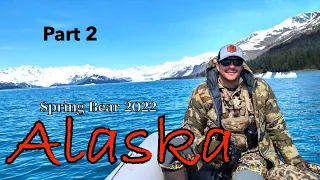 Epic Alaskan Bear Hunt Part 2