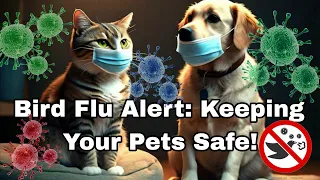 Bird Flu Alert: Keeping Your Pets Safe!