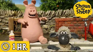 Shaun the Sheep 🐑 Pool Time! - Cartoons for Kids 🐑 Full Episodes Compilation [1 hour]