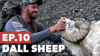 No, no, no, no no! It's a long way down - AK Dall Sheep Hunt - TMP Sn5:Ep10