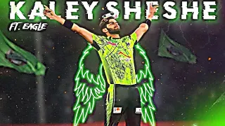 Kaley Sheshe Ft. Shaheen Afridi 🥵 • Shaheen Afridi Velocity Edit 🔥 • Freak Editz