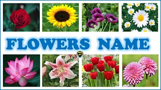 Flowers names for kids | Flowers name in English | Flowers name video | Famous flowers of the world