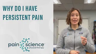 Why Do I Have Persistent Pain?
